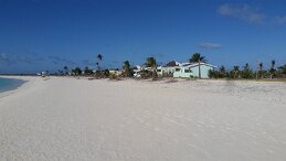 20180218_155043 null