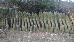 20170918_174755 null