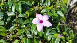 20161217_084845 null
