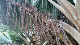 20161219_165214 null
