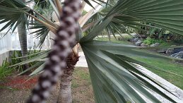 20161219_165335 null