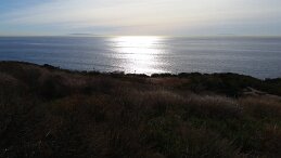 20171208_094515 null