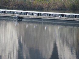 IMG_6486 null