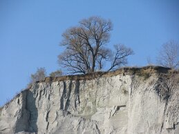 IMG_6499 null