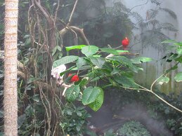 IMG_4547 null