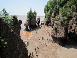 IMG_1761 null