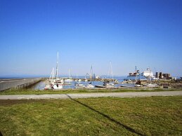 IMG_1775 null