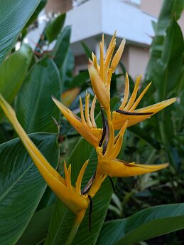 PXL_20241214_110551686 null