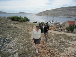 IMG_0552 null