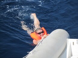 IMG_0589 null