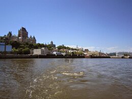 IMG_1647 null